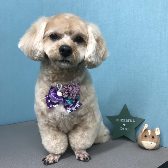 永井　ロロくん