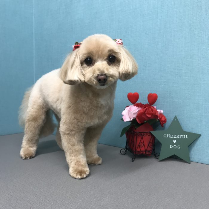 土田　ウルちゃん