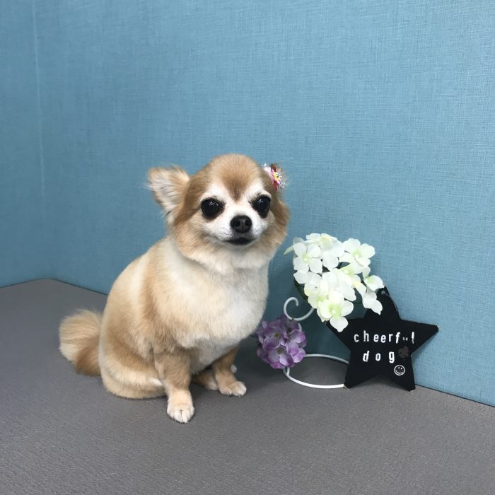 野村　ムギちゃん