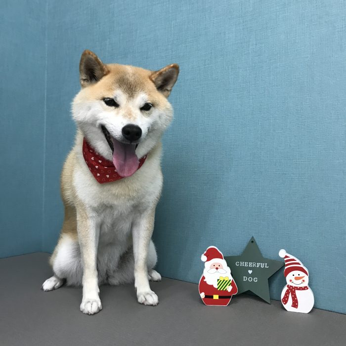 大西　こまちちゃん