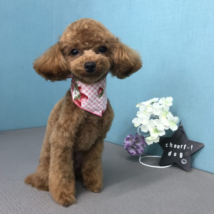 竹田　ベアちゃん