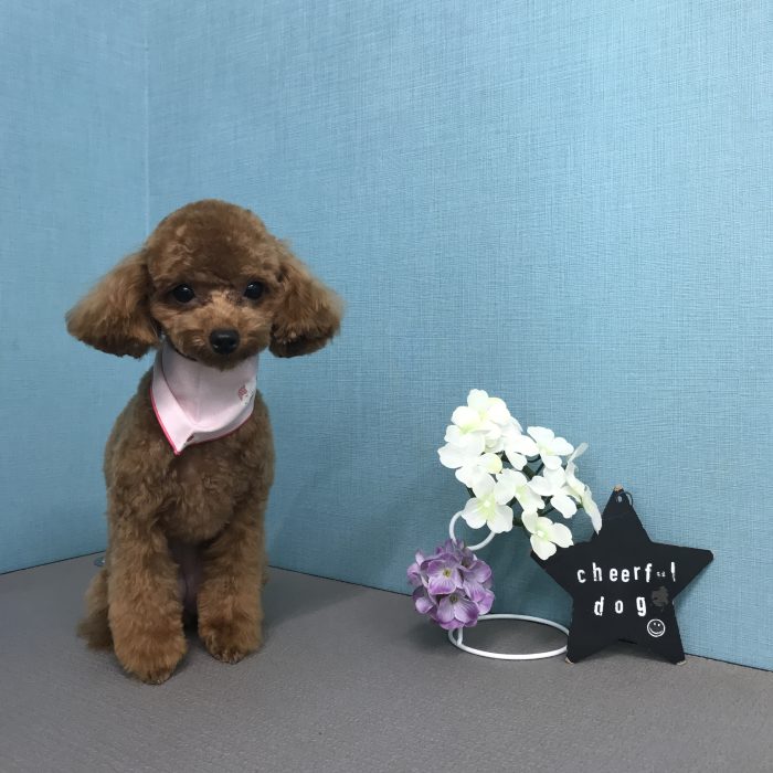 竹田　ベアちゃん