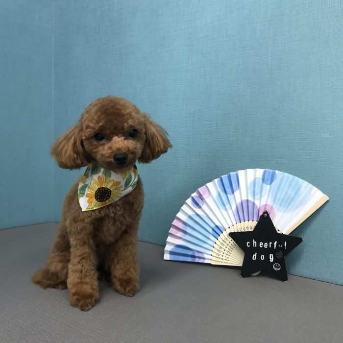 竹田　ベアちゃん