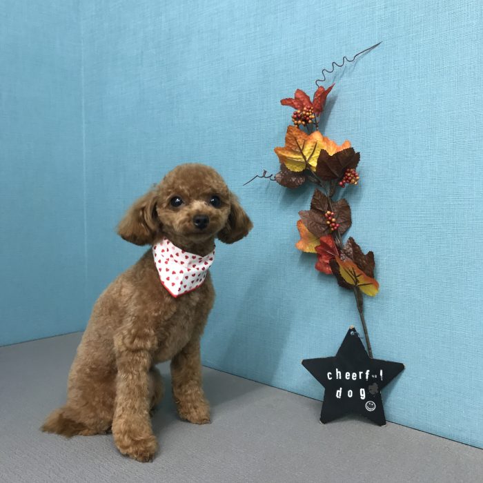 竹田　ベアちゃん