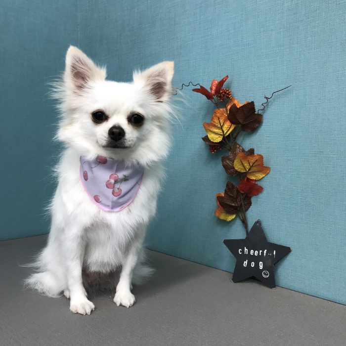 小中　ソラちゃん