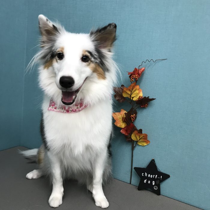 川上　なぎちゃん