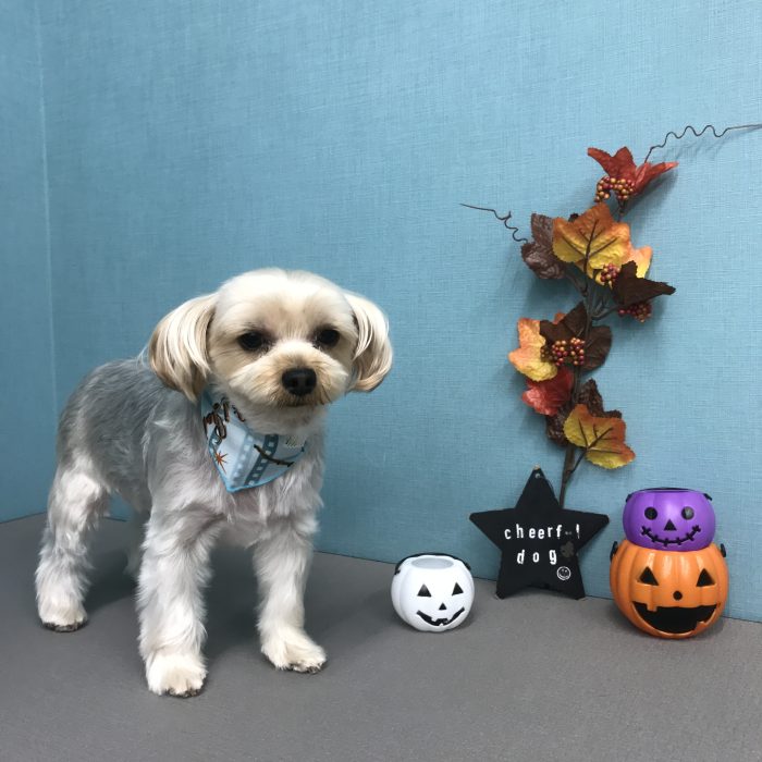 松田　コロンくん