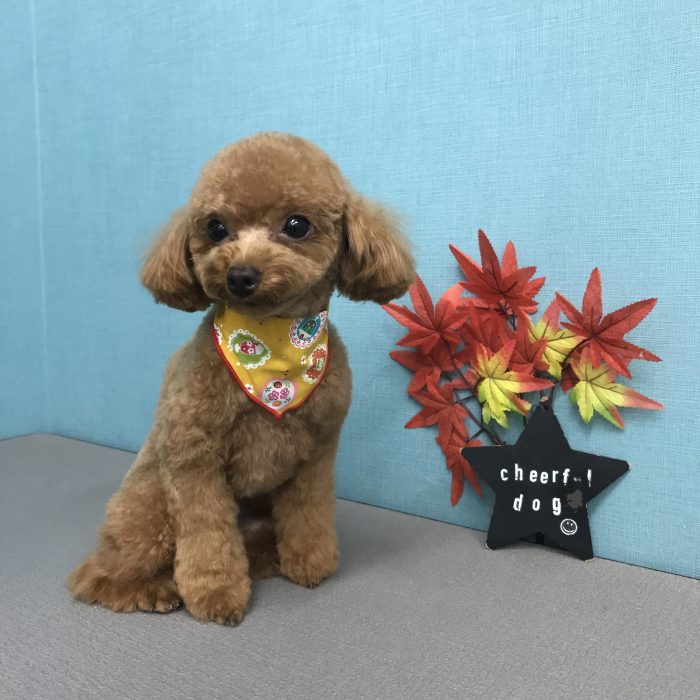 竹田　ベアちゃん