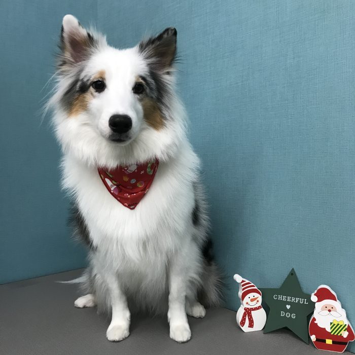 川上　なぎちゃん