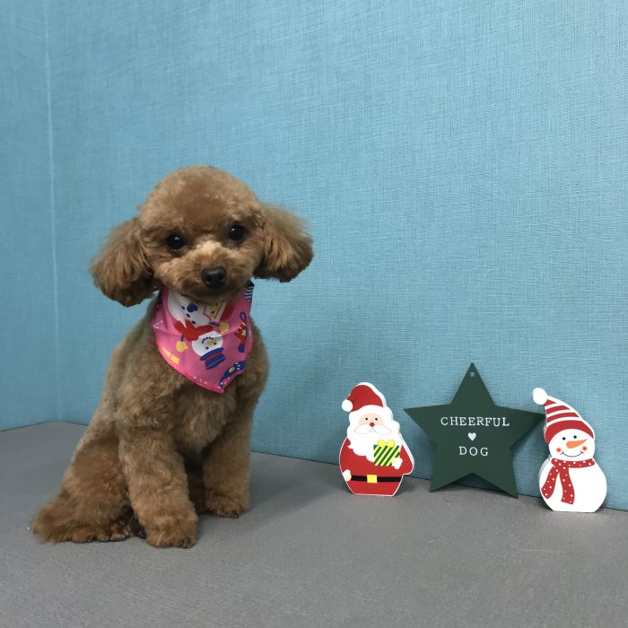 竹田　ベアちゃん