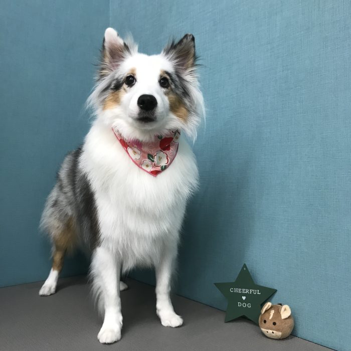 川上　なぎちゃん