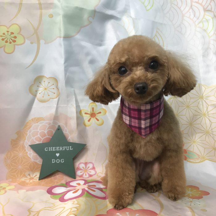 竹田　ベアちゃん