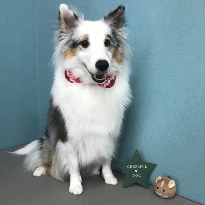 川上　なぎちゃん