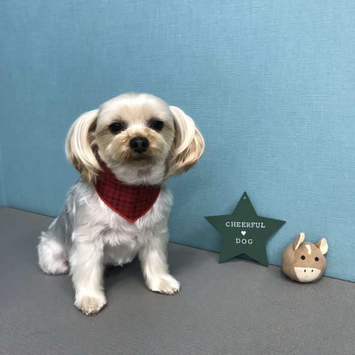 松田　コロンくん