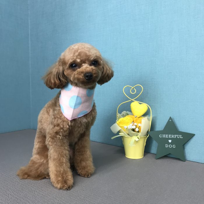 竹田　ベアちゃん