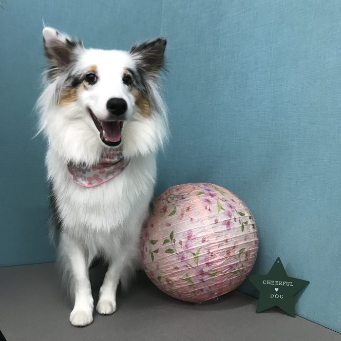 川上　なぎちゃん