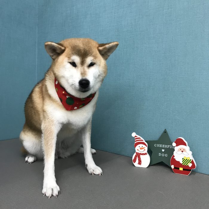 武田　ニコちゃん