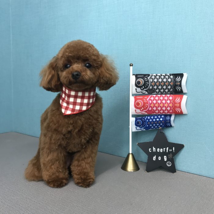 町田　ココちゃん