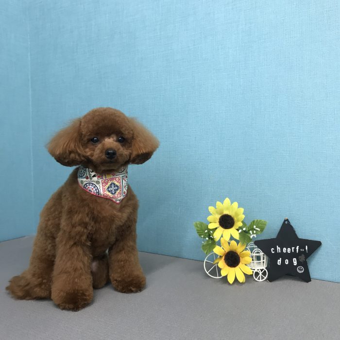 町田　ココちゃん