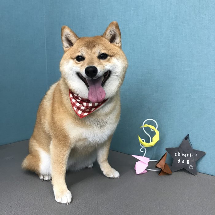 髙松　ももちゃん