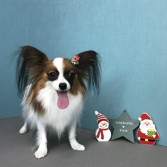 山田　りくくん