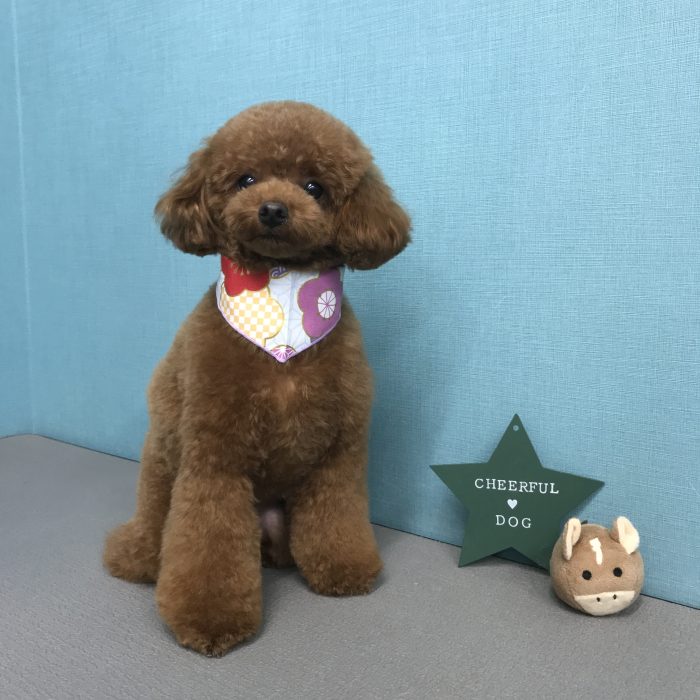 町田　ココちゃん