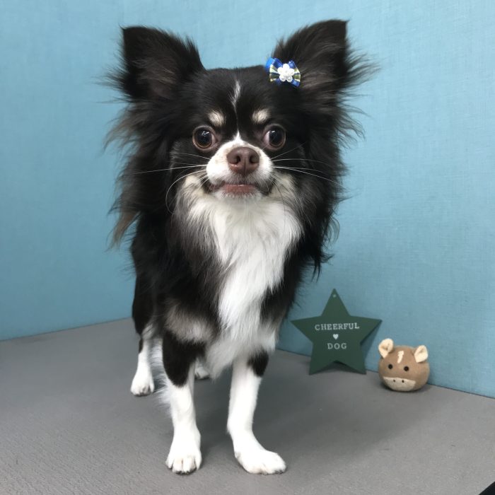 中村　クウくん