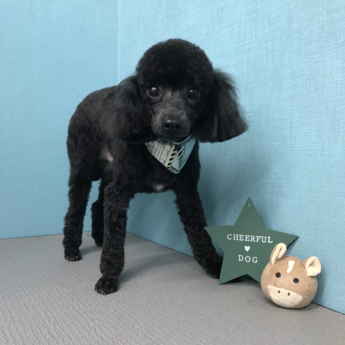 大西　まめ吉くん