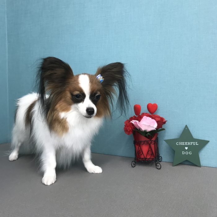 山田　りくくん