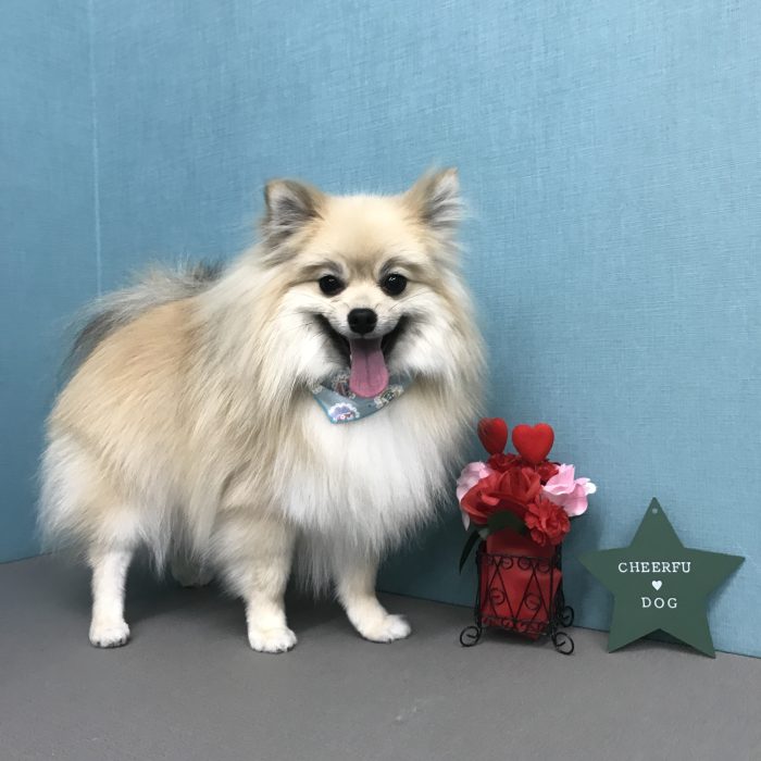 原田　つくねくん