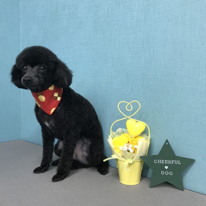 大西　まめ吉くん