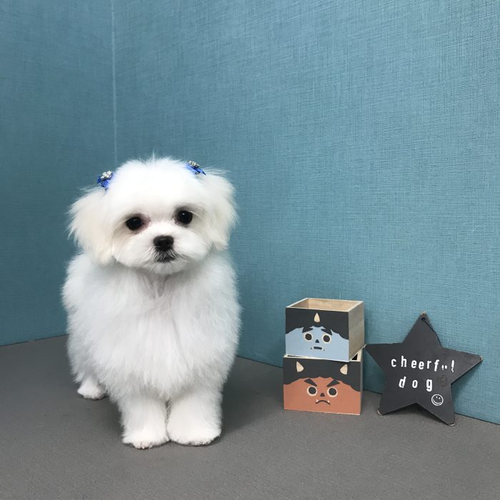 村口　ゴンくん