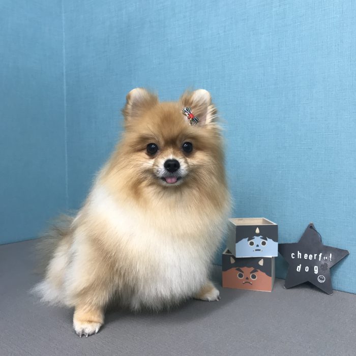 西尾　まぁるちゃん