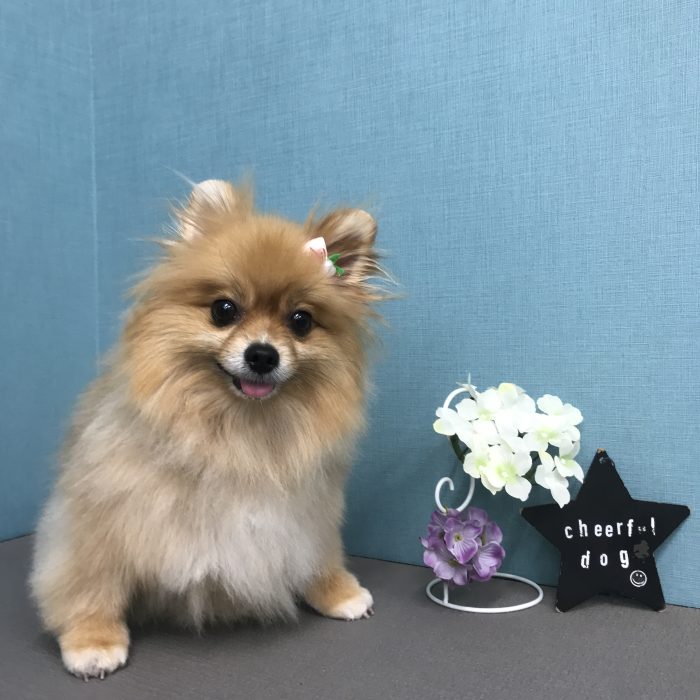 西尾　まぁるちゃん