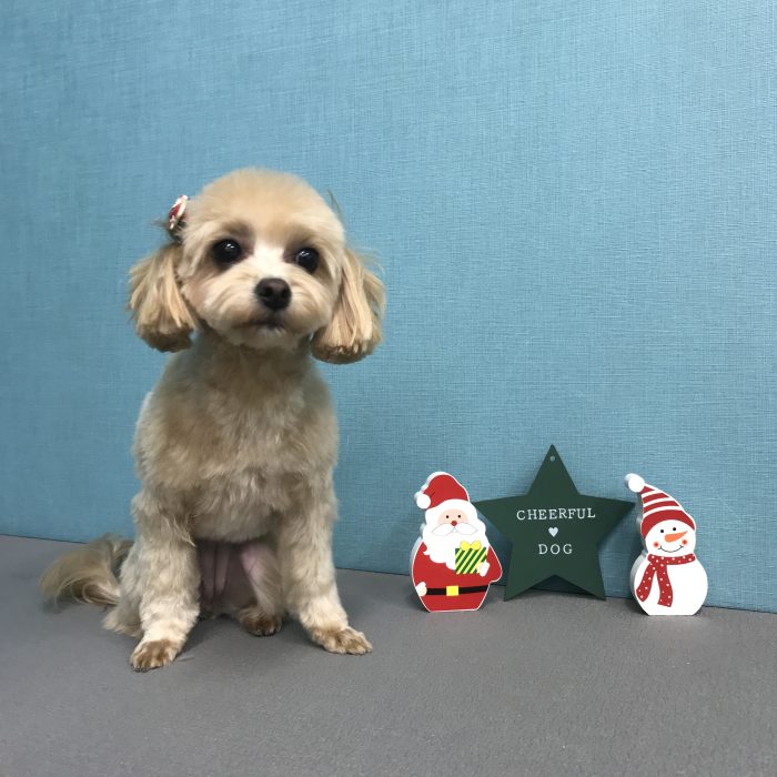 青木　きなこちゃん