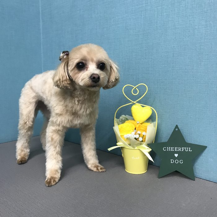 青木　きなこちゃん