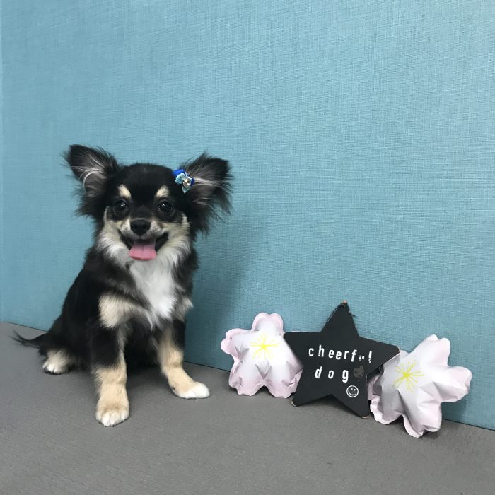 山下　ジュンくん