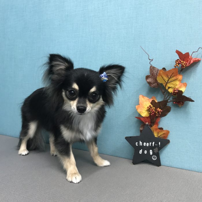 山下　ジュンくん