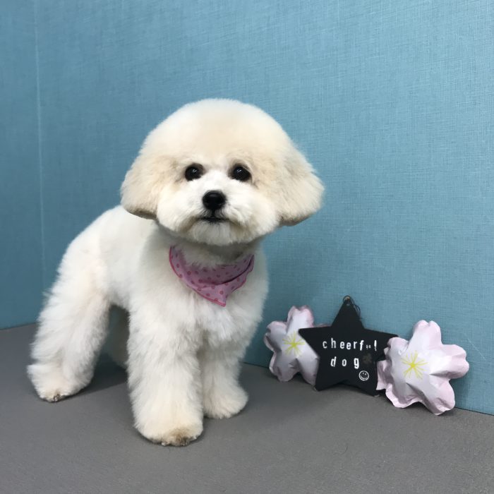 松嶋　ココちゃん