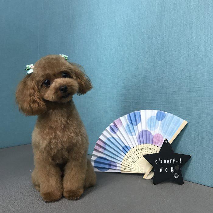 坊下　むぎくん