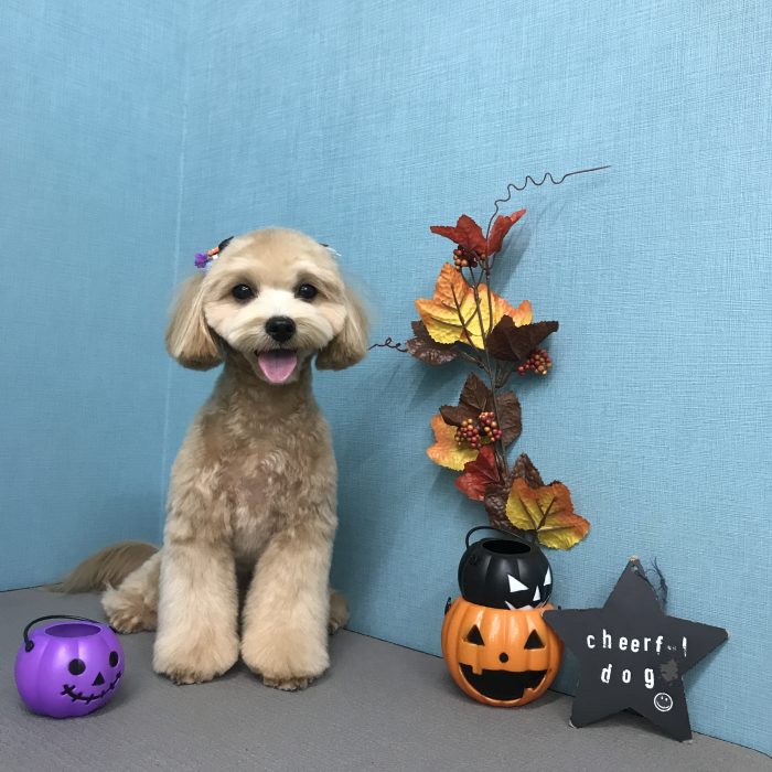 松田　ちゃいくん