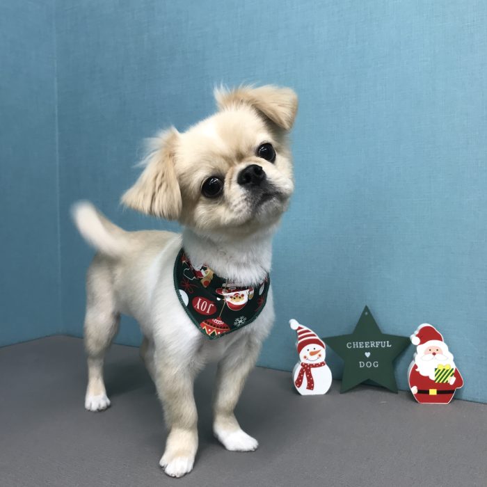 小出　はちくん