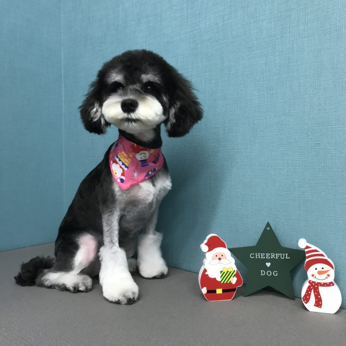 玉木　いちごちゃん