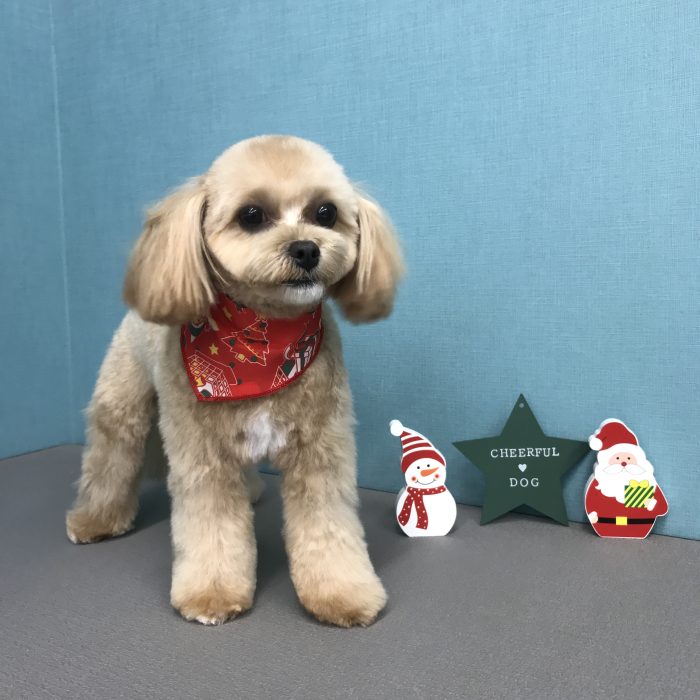 松本　あずきちゃん