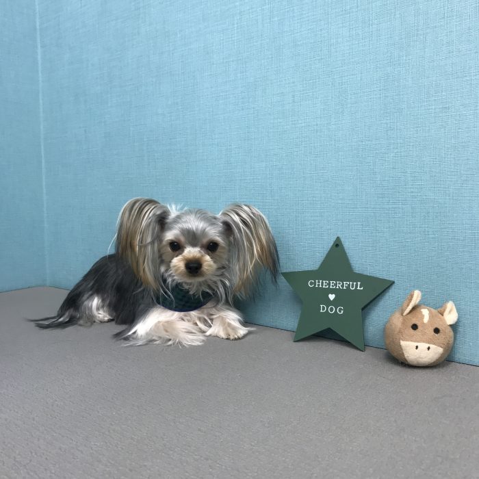 松田　アロンくん