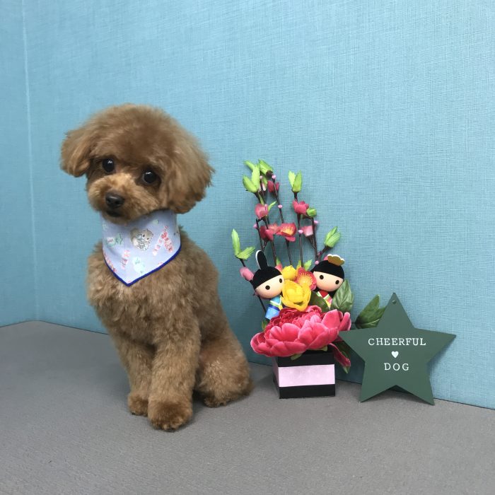 坊下　むぎくん