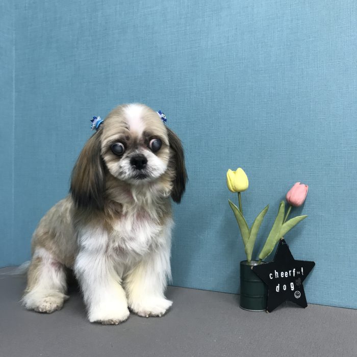 高川　ラッキーくん