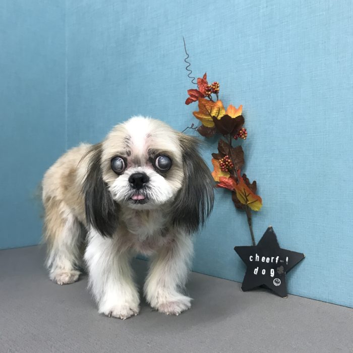 高川　ラッキーくん