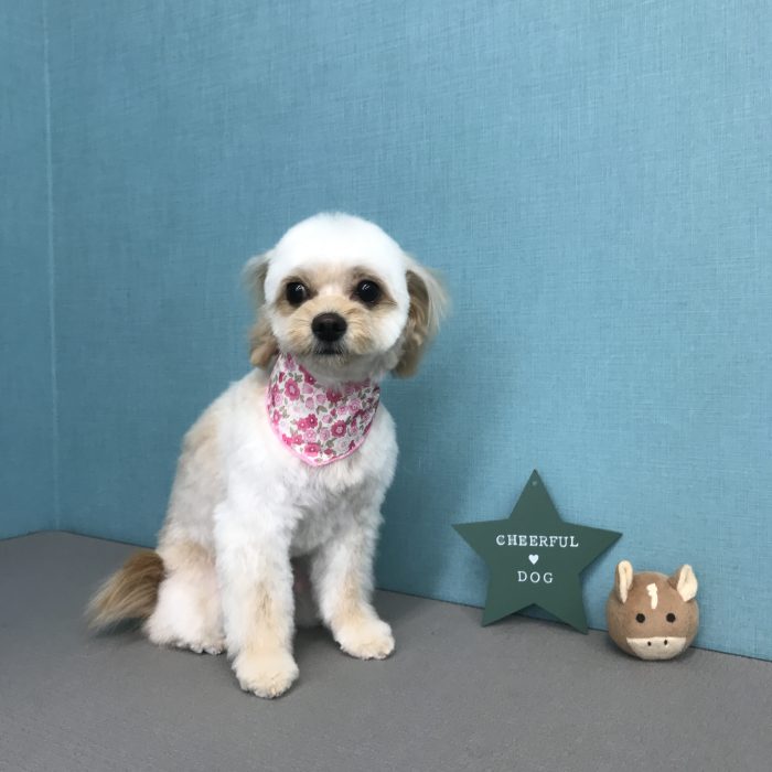 寺下　ねねちゃん