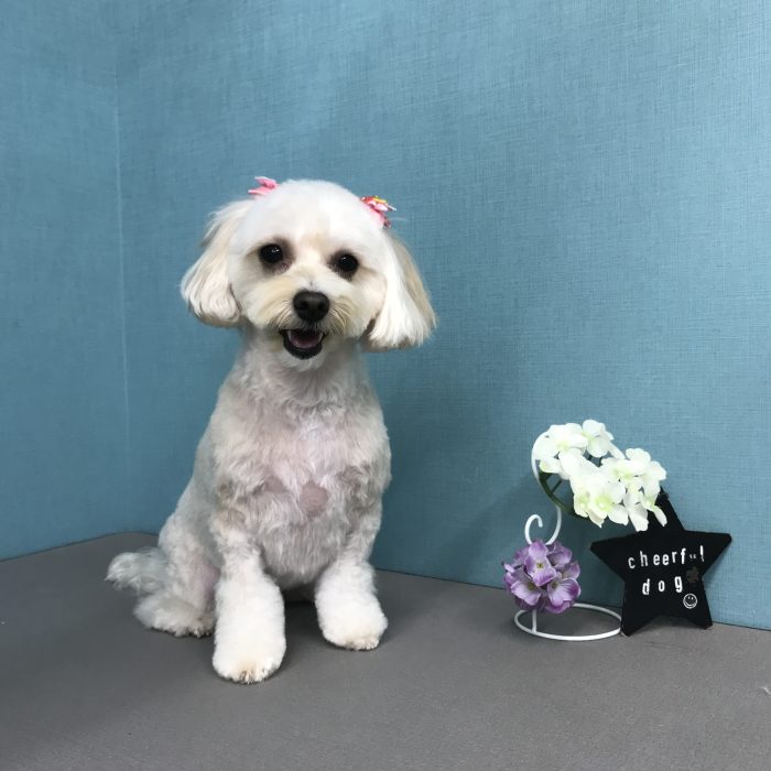 北村　あんずちゃん